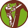 RedbranchTree logo