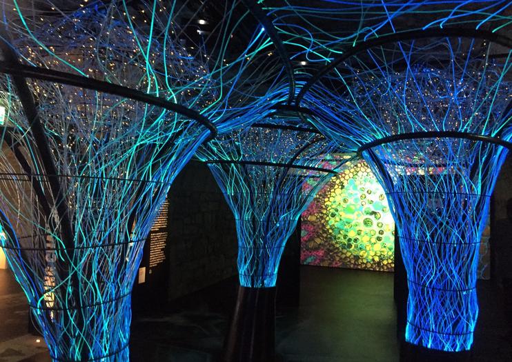 Irish emigration museum voted best European tourist attraction
