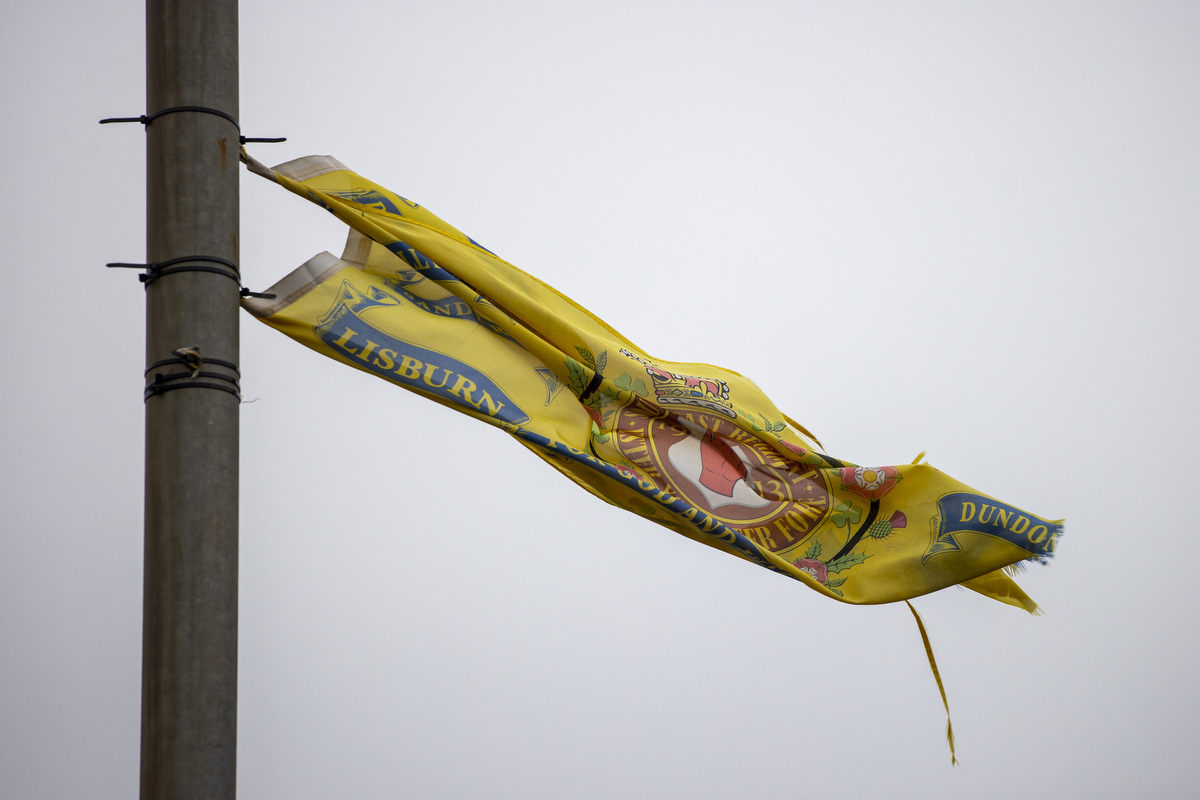 Long-delayed report on flags and culture to be published