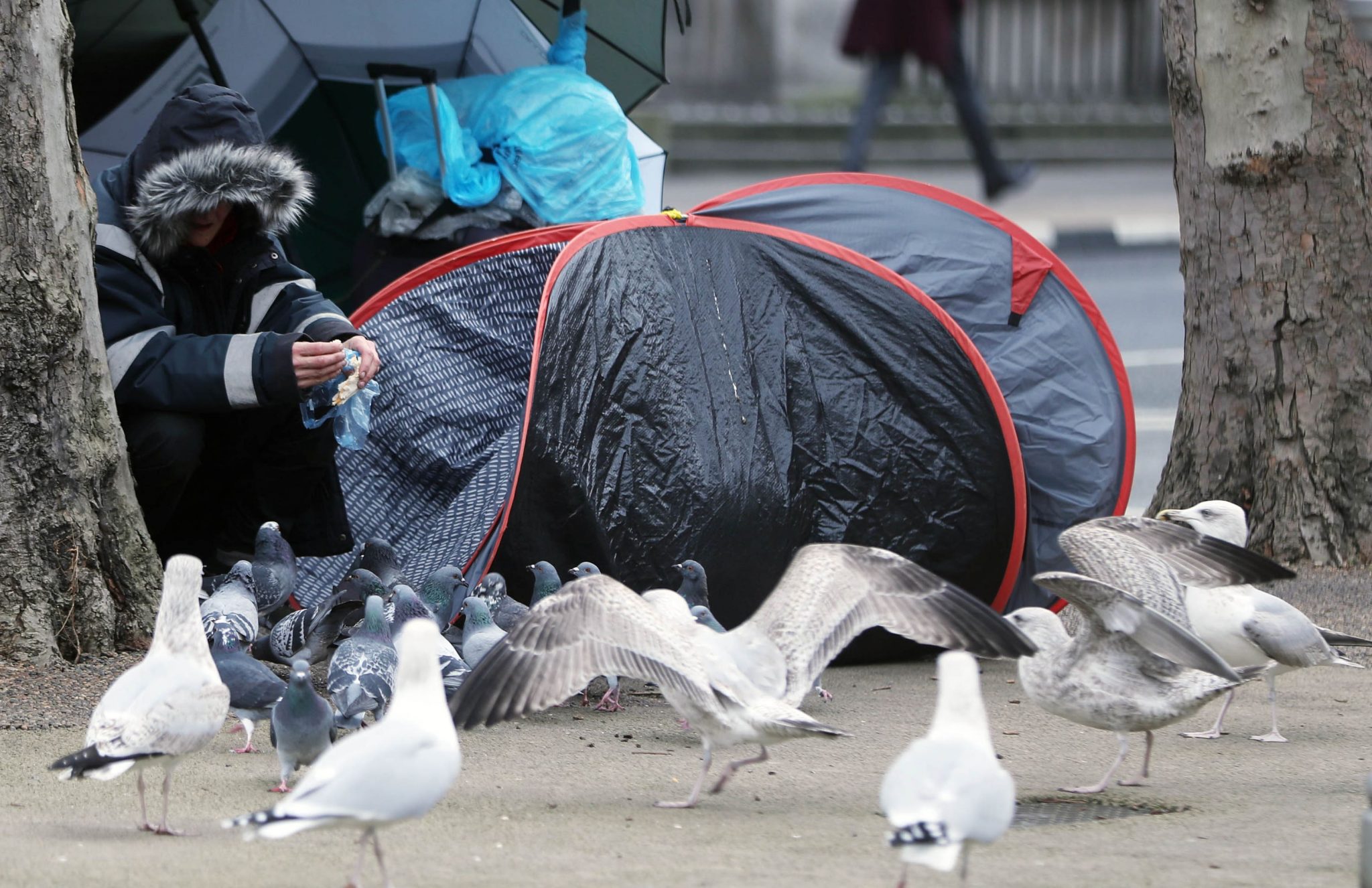 Ireland’s homeless figures reach new record high