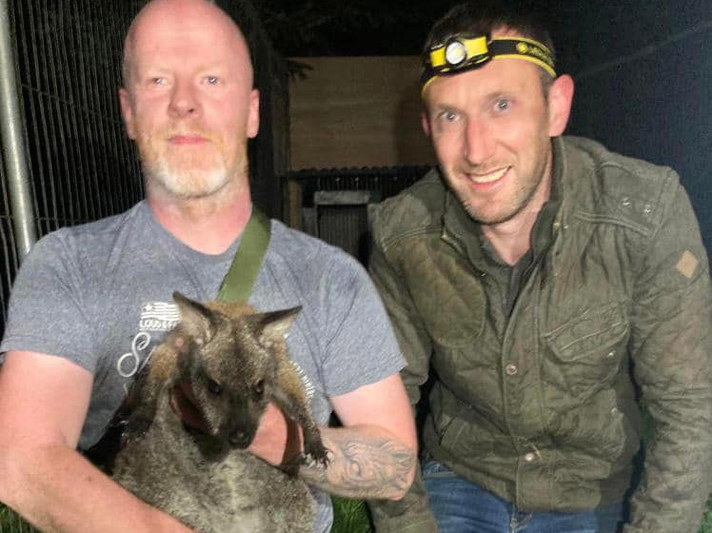 Winnie the wallaby welcomed home