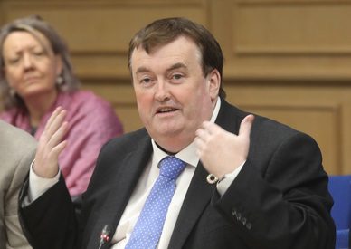 Referendum on votes for overseas Irish possibly in 2024